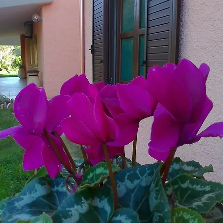 Su Giudeu Hotell